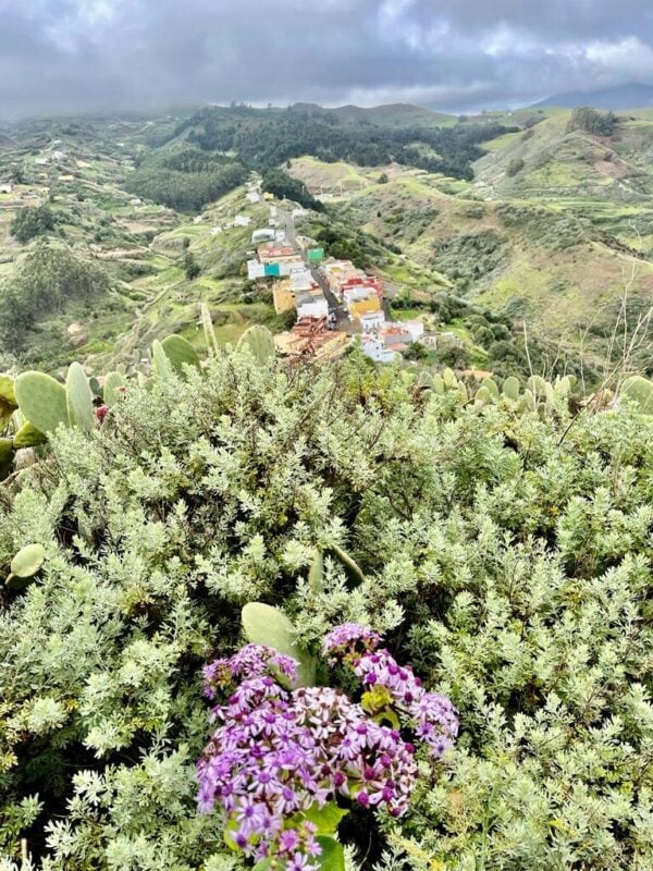 Vista del barrio de Montana Alta desde el Mirador