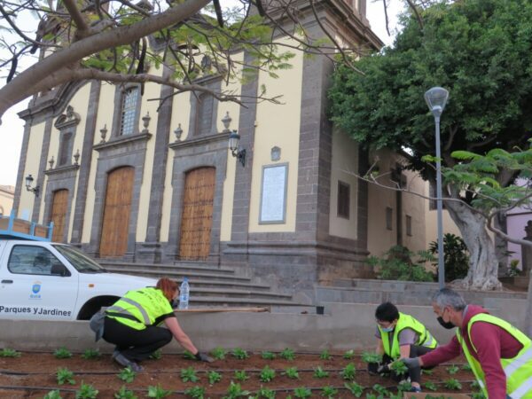 Integrantes del Programa de Empleo Social embelleciendo los jardines