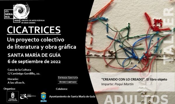 INV DIG GUIA CICATRICES ADULTOS