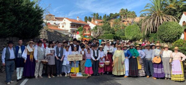 Romeria del Pino 2019