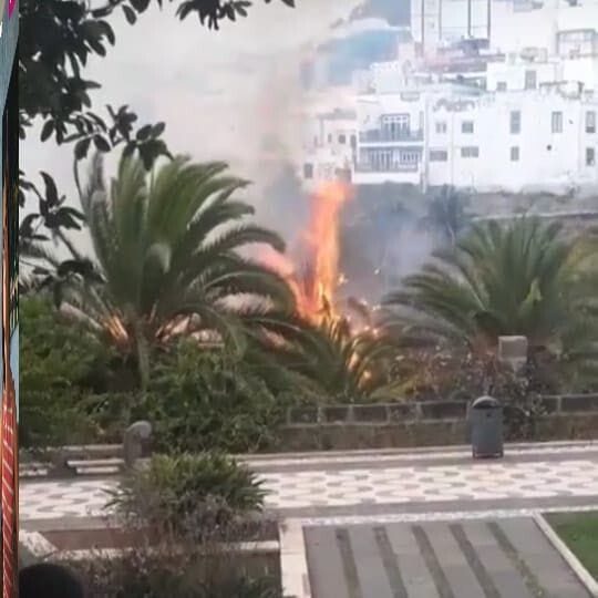 La justicia condena a los tres adultos implicados en el incendio sucedido en agosto de 2018 en el Parque Municipal de Arucas