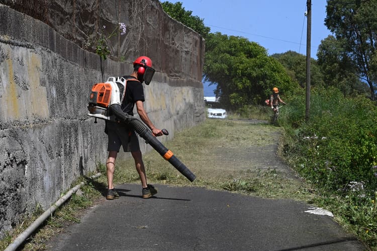 Trabajos previos de desbroce de la via de Santa Ines para la ejecucion de los trabajos de reasfaltado el proximo lunes 1