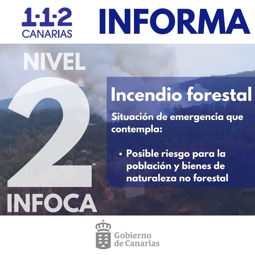 El Gobierno de Canarias declara el nivel 2 del INFOCA y asume la dirección del incendio forestal en Tenerife