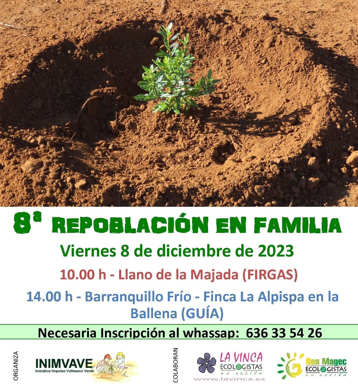 El viernes 8 de diciembre se llevarán a cabo dos Repoblaciones Forestales en Familia en Firgas y Guía