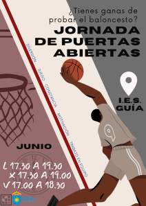 Blue Illustrated Basketball Match Poster (4)