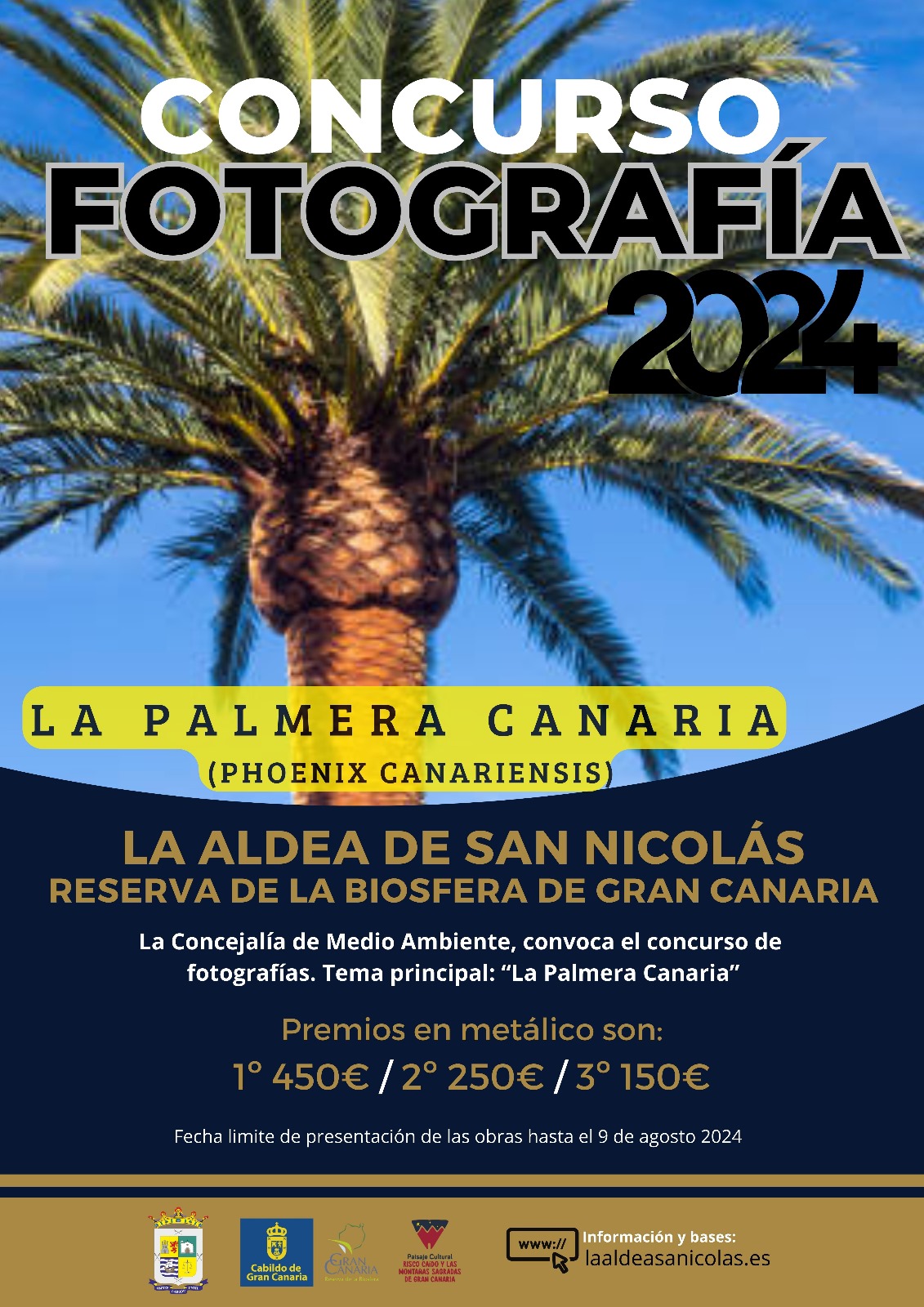El Ayuntamiento de La Aldea de San Nicolás organiza un concurso de fotografía para poner en valor la palmera canaria