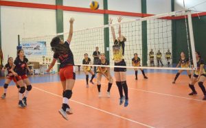 18 voleibol