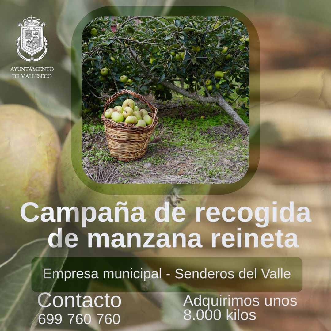 Comienza la campaña de recogida de manzana reineta por parte del Valle Secreto