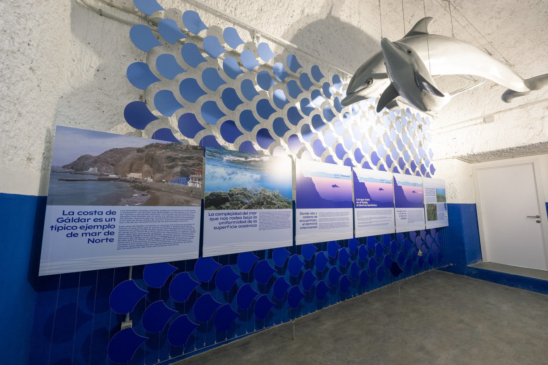 El FotoSub organiza una visita guiada al Aula del Mar del Puerto de Sardina