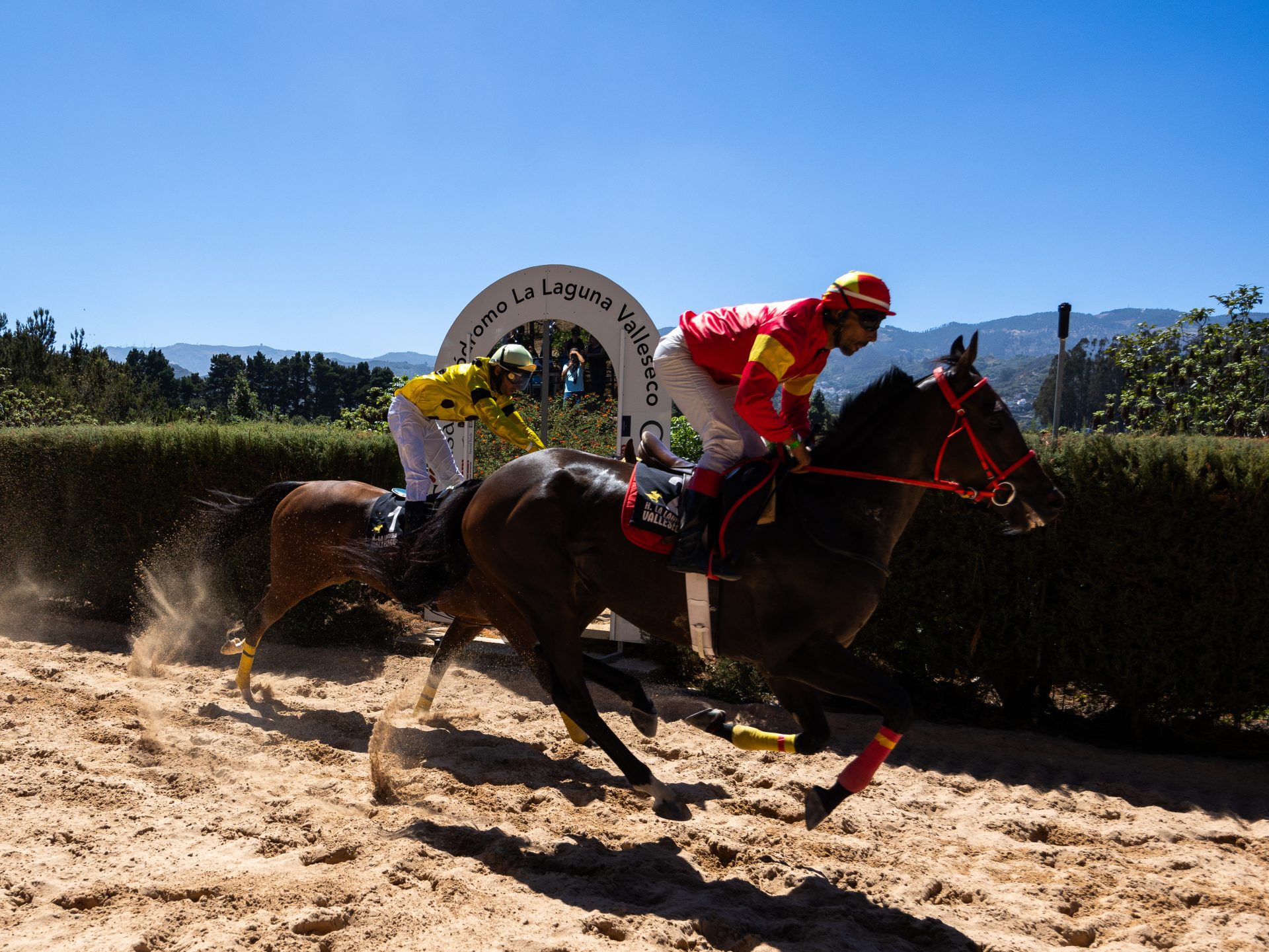 El Hipódromo de La Laguna de Valleseco se llena de solidaridad “Galopando por las enfermedades inflamatorias intestinales”