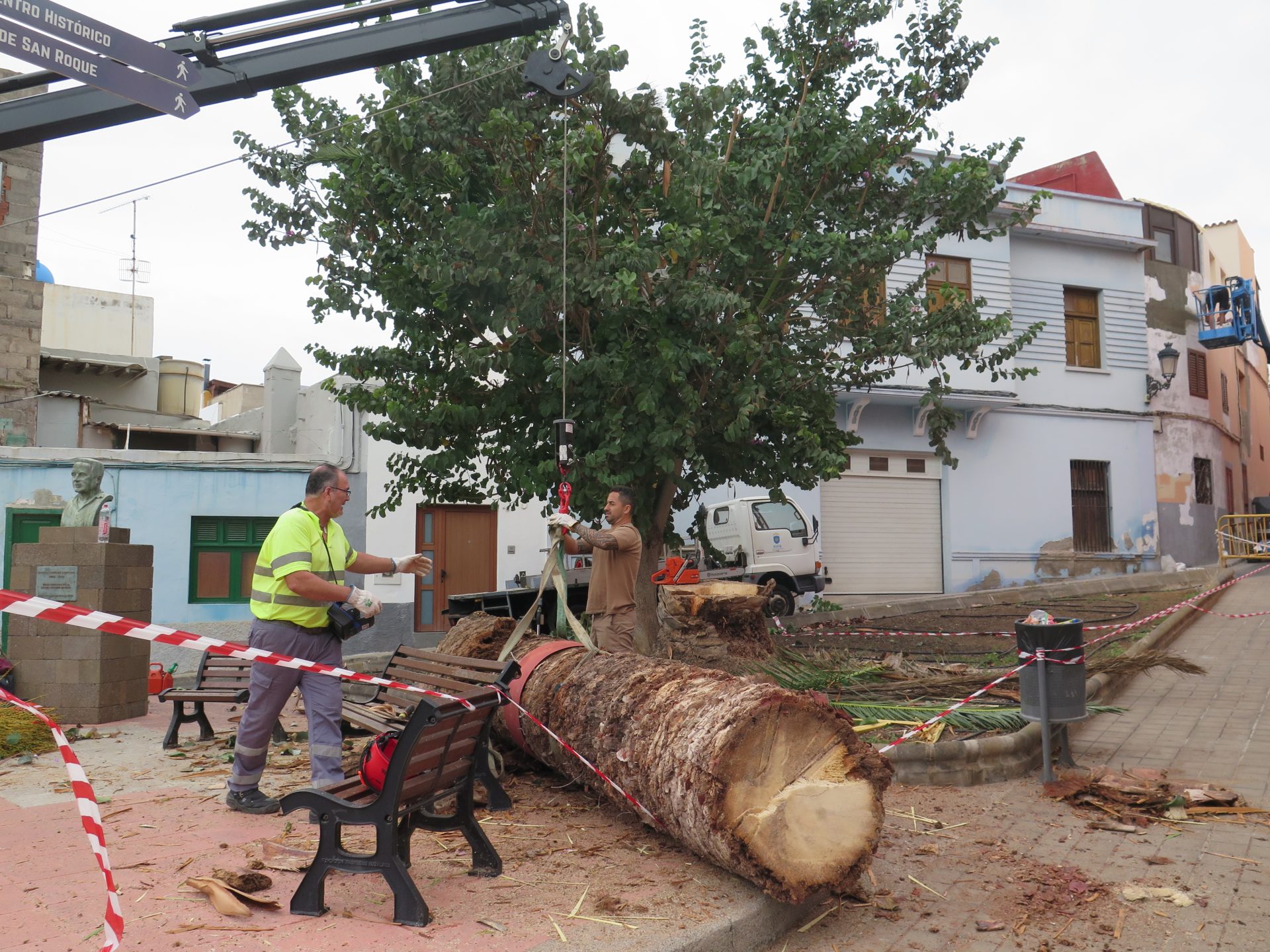 El Ayuntamiento de Guía realiza la tala de una palmera en mal estado en el barrio de San Roque