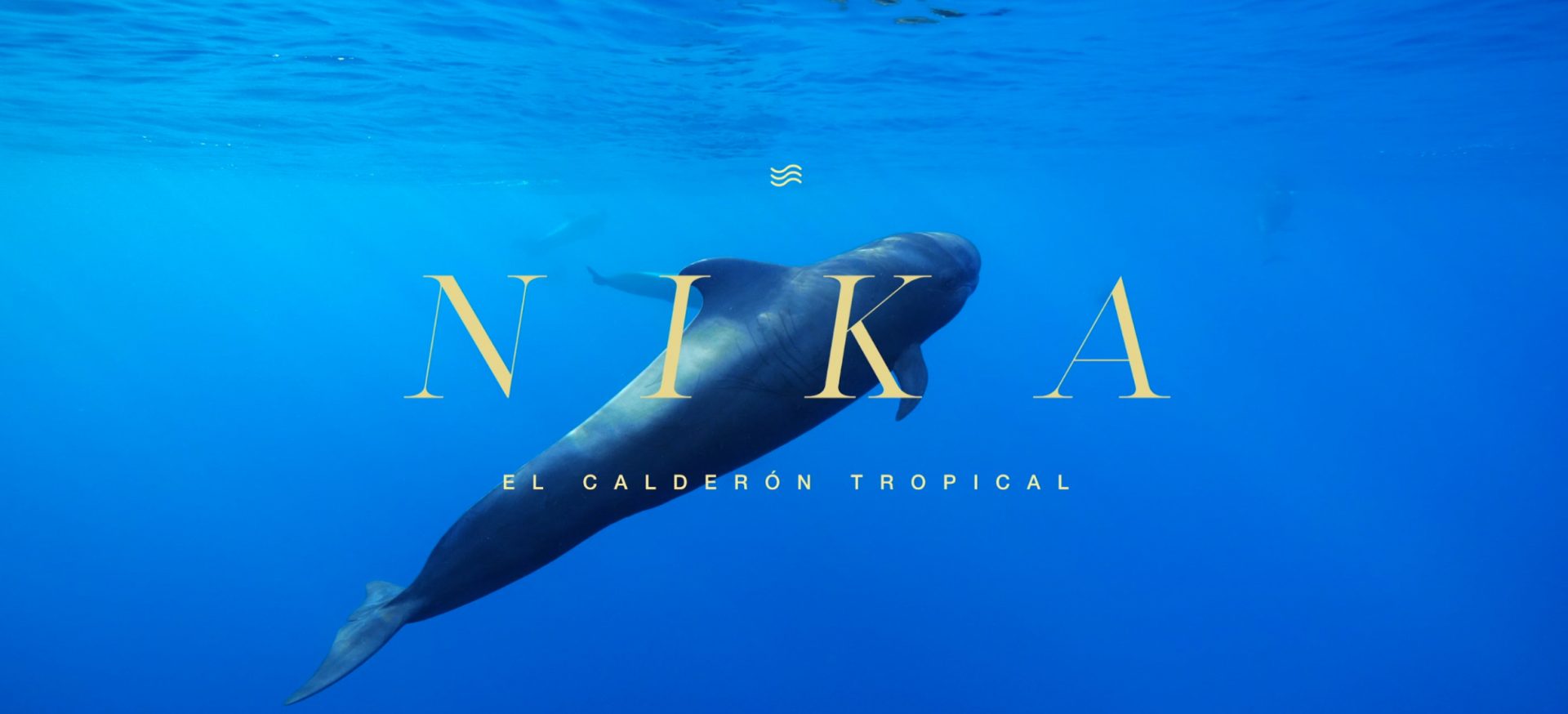 ‘Nika, el calderón tropical’, un grito de auxilio ante la sobreexplotación en Canarias