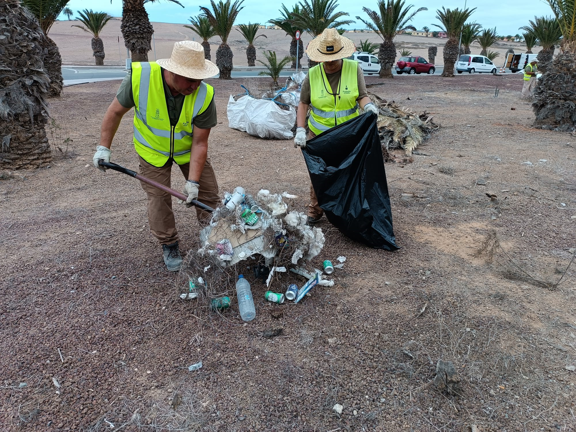 Foresta y el Ayuntamiento de San Bartolomé de Tirajana completan ocho meses de avance en el Plan de Empleo para la Restauración y Mejora Ambiental