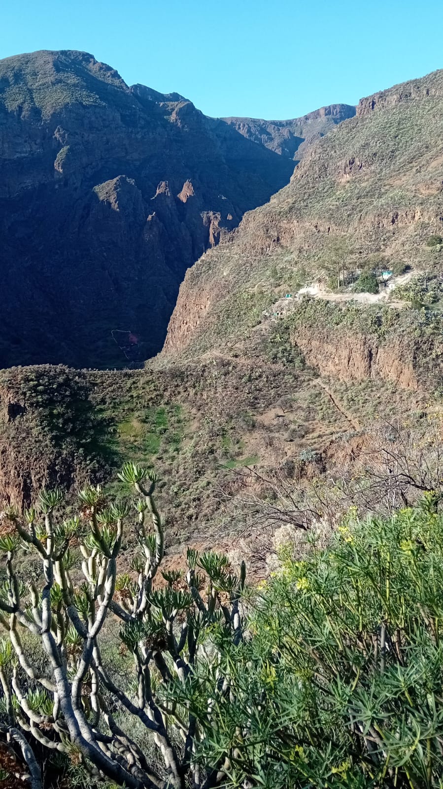 Valleseco organiza la última ruta de senderismo del año por Guayadeque