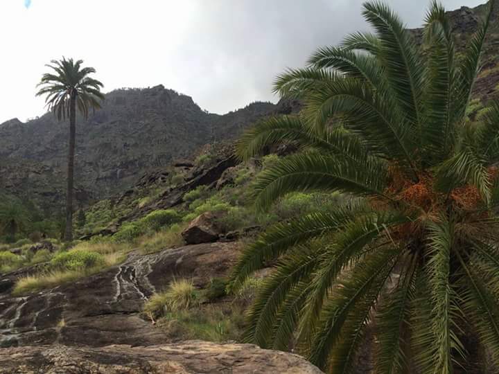 Plan de senderismo de fin de semana con la Ruta por los barrancos de Tejeda