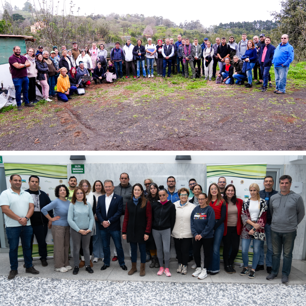 Valleseco clausura los PFAEs de forestales y sociosanitario 