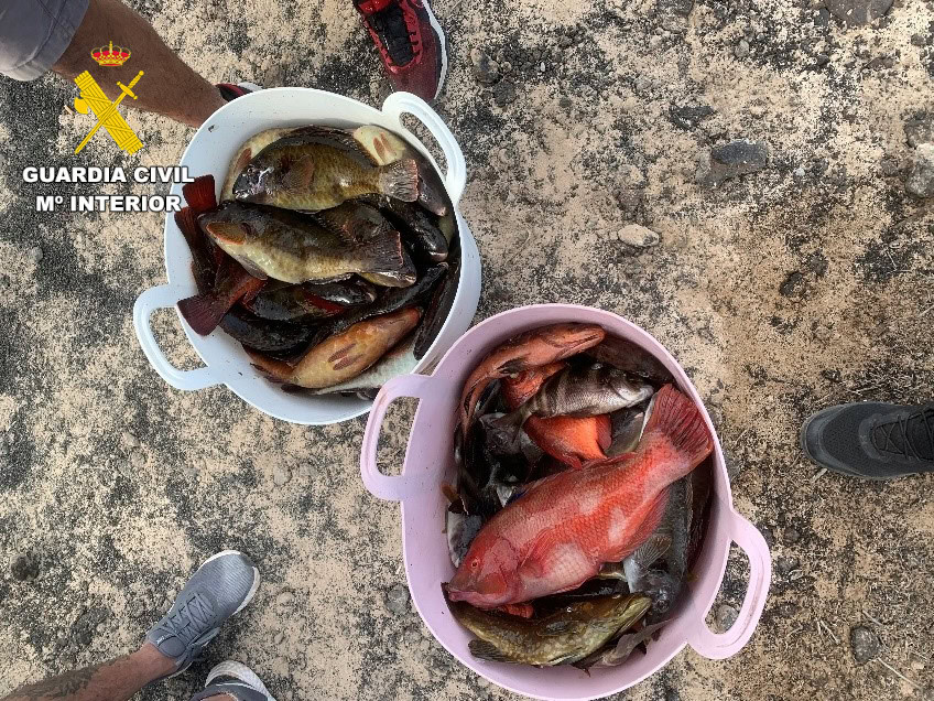 Guardia Civil de Costa Teguise interviene 55kg de pescado en La Reserva Marina de la Graciosa e Islotes del norte de Lanzarote