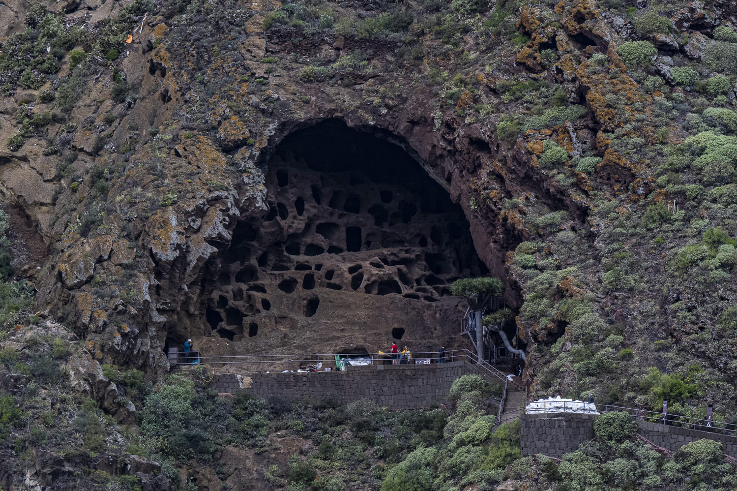 Arqueología en vivo para descubrir el espectacular yacimiento del Cenobio de Valerón de Santa María de Guía