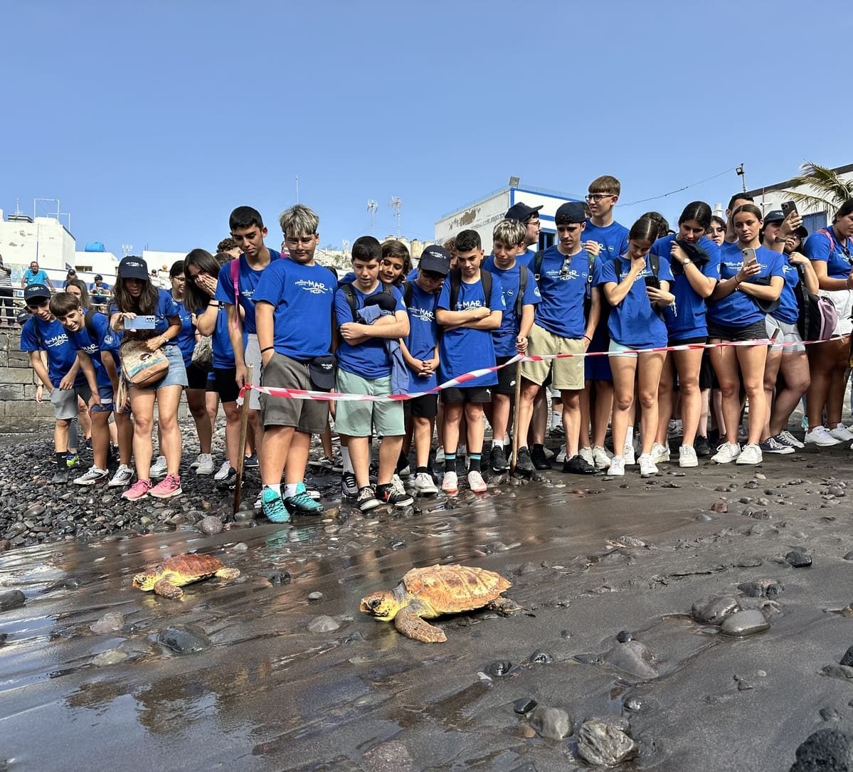 200 personas participan en una limpieza de la playa de Agaete organizada por Fred. Olsen Express