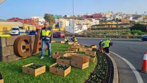 Nicolas Mederos concejal de Parques y Jardines durante la plantacion en la rotonda de entrada al casco