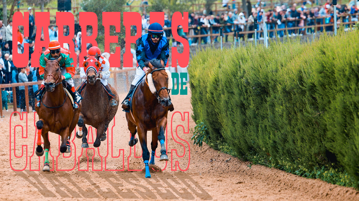 8 grandes carreras de caballos este sábado en el hipódromo de La Laguna