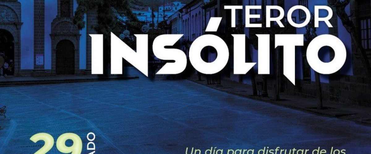 11 TEROR INSOLITO