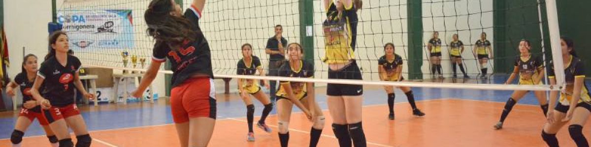 18 voleibol