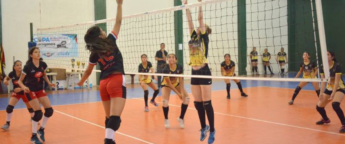 18 voleibol