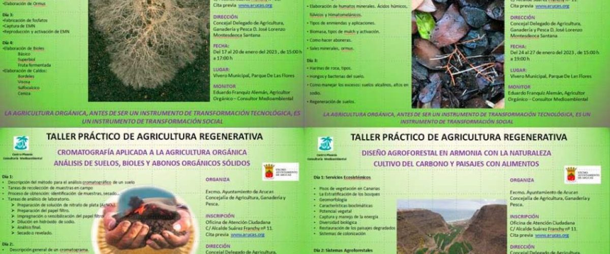 20221216 Taller Arucas AR Salud y Nutricion vegetal del 17 al 20 enero 23 6 scaled