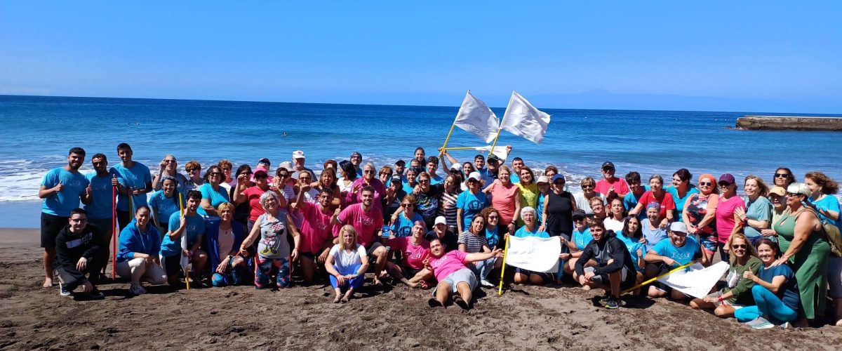 Actividad de Envejecimiento Activo en Sardina