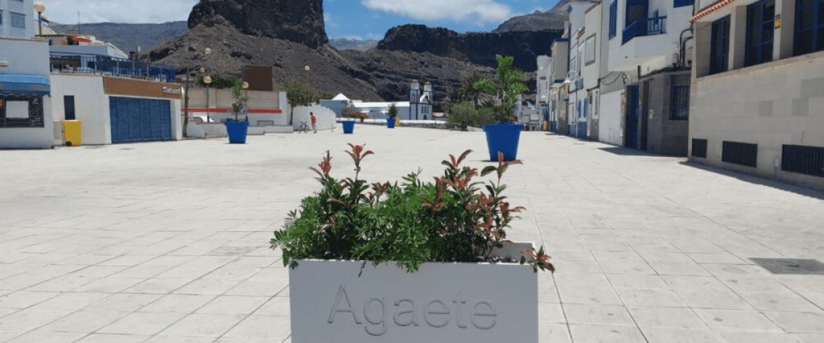 Agaete da color al Puerto de las Nieves con siete nuevos macetones3