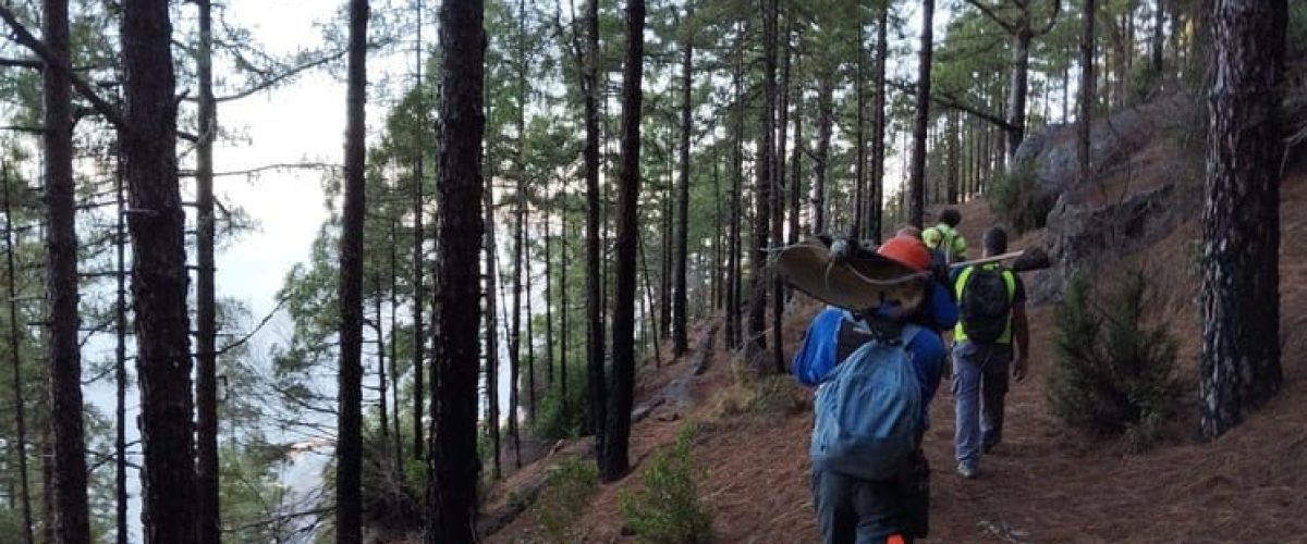 Agaete pone a punto el Camino de los Romeros para recibir la Rama de San Pedro3