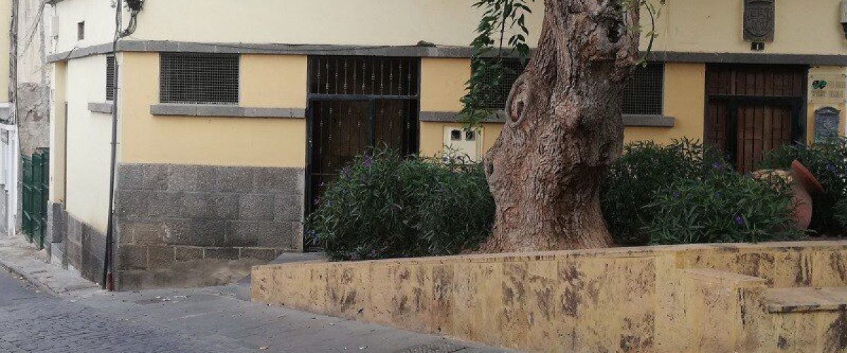 Bano Plaza de Los Guanartemes