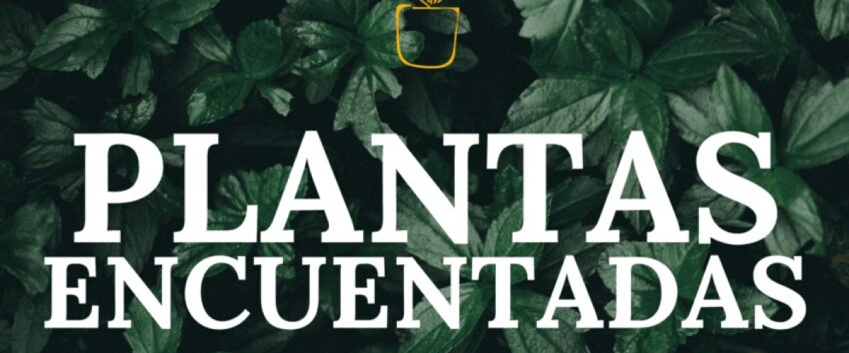 CARTEL PLANTAS ENCUENTADAS