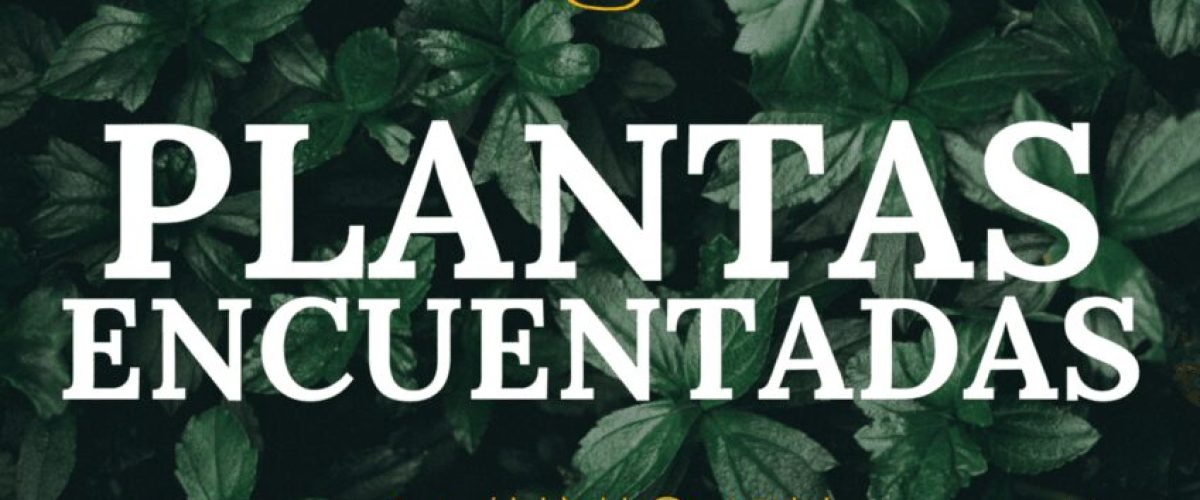 CARTEL TALLER PLANTAS ENCUENTADAS 14 JUNIO