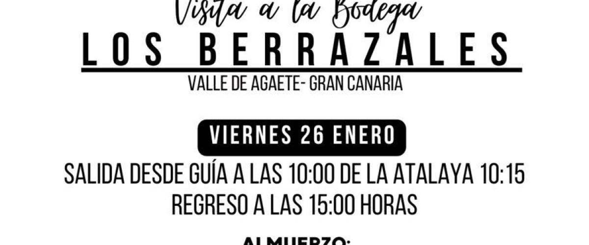 Cartel Excursion Berrazales