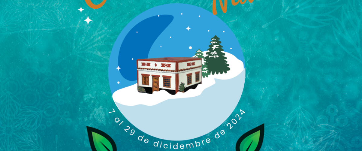 Cartel La Casa de La Navidad de Valleseco