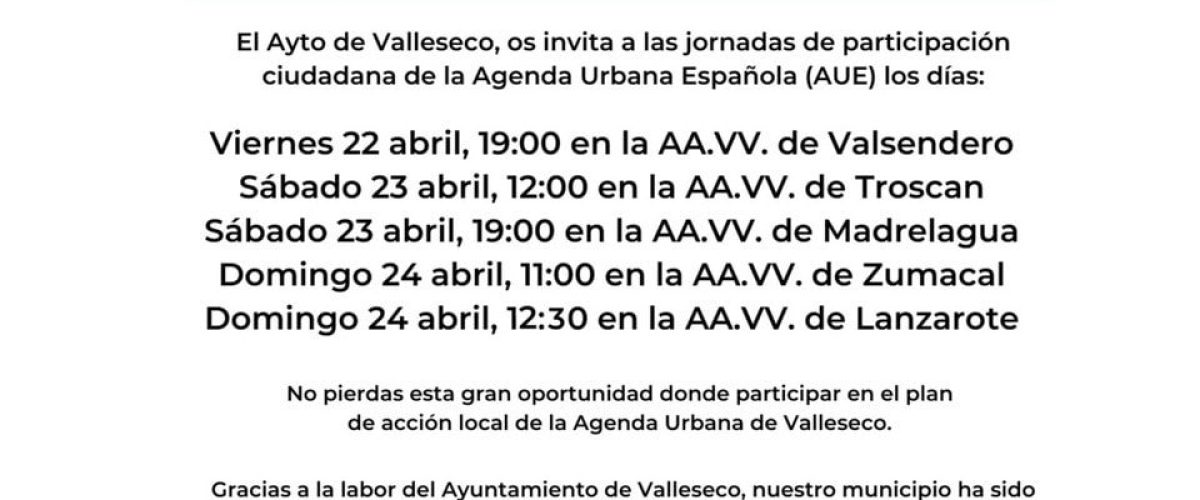 Cartel Reuniones AUE Valleseco