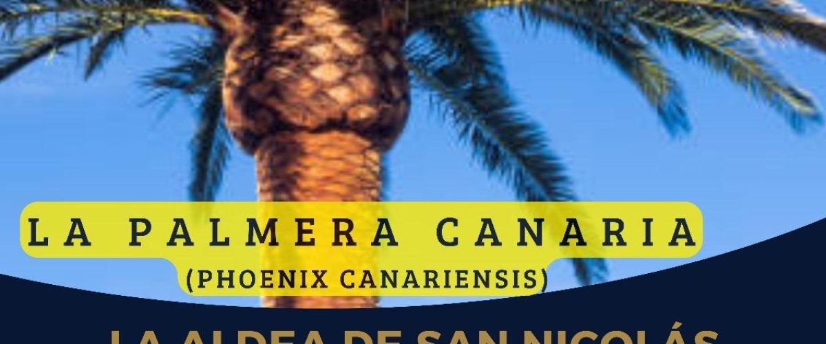 Concurso Fotografía Palmeras