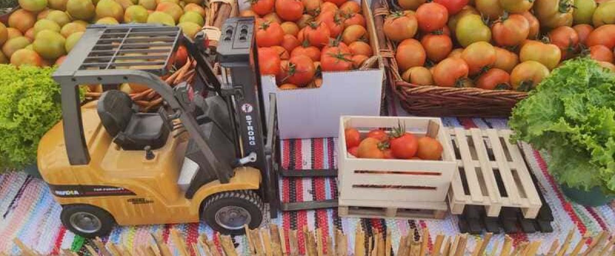 Foto Feria del Tomate de La Aldea de San Nicolais 2 1