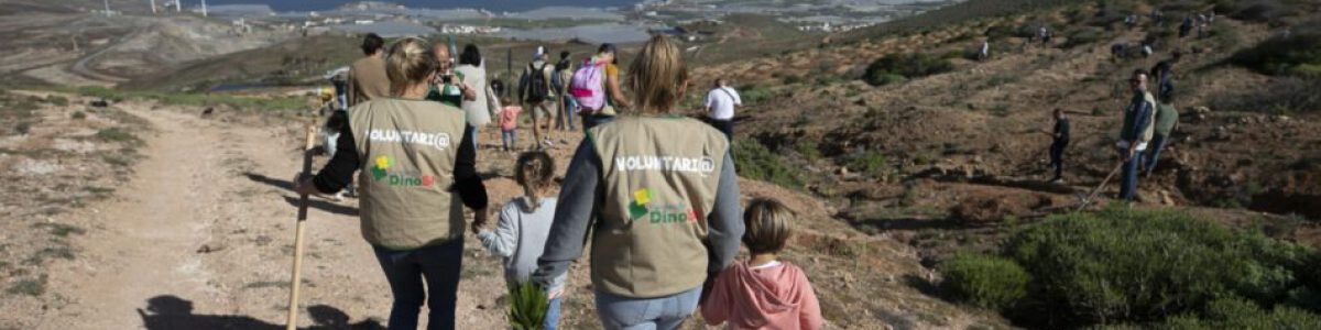 Fundacion DinoSol y Chocolates Trapa han celebrado hoy una jornada de reforestacion en Galdar 1