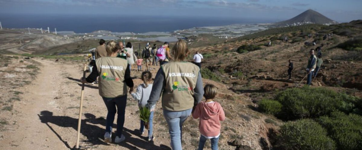 Fundacion DinoSol y Chocolates Trapa han celebrado hoy una jornada de reforestacion en Galdar 1