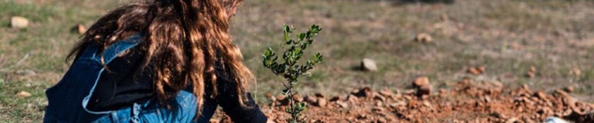 Fundación DinoSol y Chocolates Trapa organizan dos jornadas de reforestación
