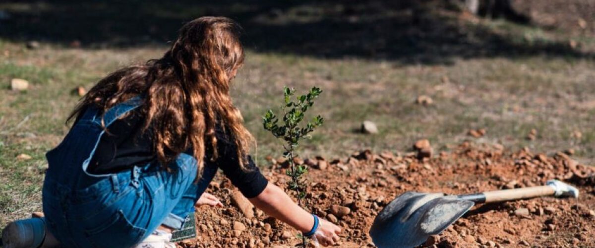 Fundacion DinoSol y Chocolates Trapa organizan dos jornadas de reforestacion