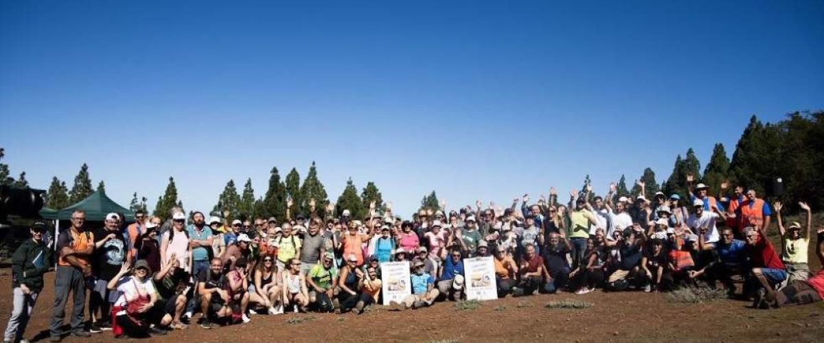 Participantes de la actividad del Dia del Arbol en los Altos de Galdar