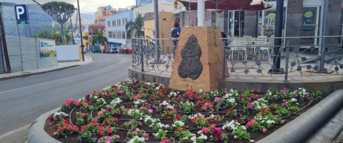 Plantacion en la entrada al casco