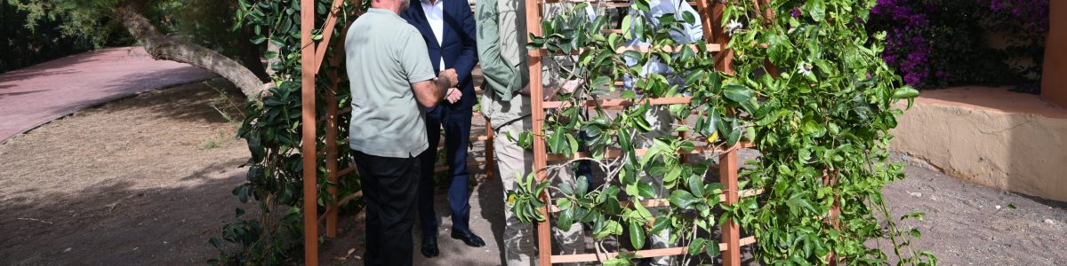 Presentación de la pérgola construida con madera de eucalipto rojo en el Área Recreativa Huertas del Rey