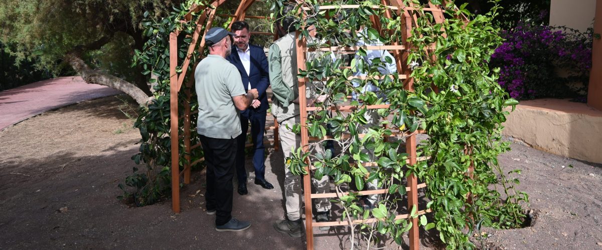 Presentación de la pérgola construida con madera de eucalipto rojo en el Área Recreativa Huertas del Rey