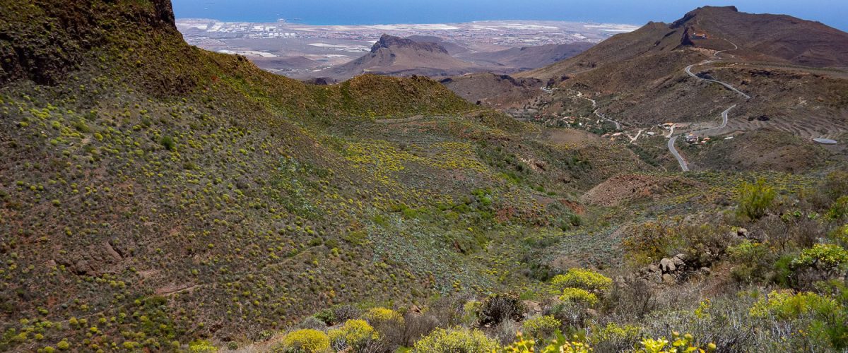 Ruta-Fotográfica-Altos-de-Temisas-Agüimes-Primavera-2022-Gran-Canaria-Un-Paisaje-por-Descubrir-143