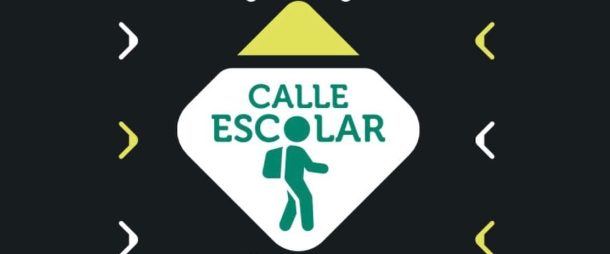 Señal horizontal de calle escolar